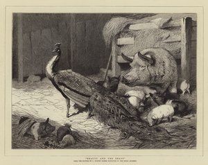 Skönheten och Odjuret
